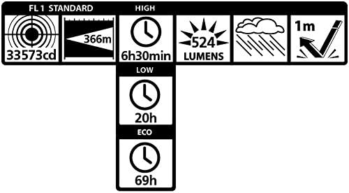 Maglite ML300L LED 2-Cell D Display Box