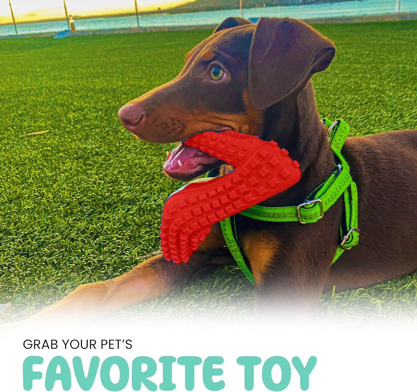 TOME Dog Toys - for aggressive chewers - Shoe-shaped toy for small and medium dogs - Promotes mental stimulation and alleviates boredom